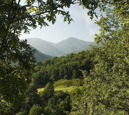 Hostal Casa Lucas Лос-Тохос Экстерьер фото